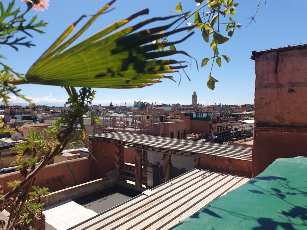 L Mida — photo 10