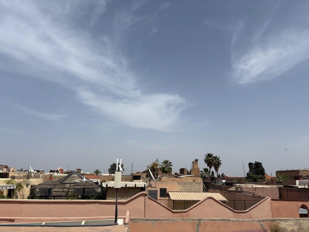 Shams — photo 15