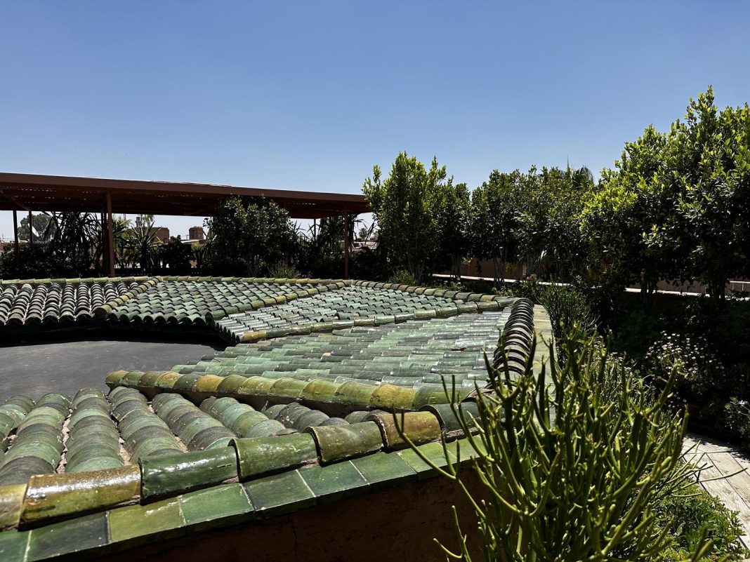 Shams — photo 16